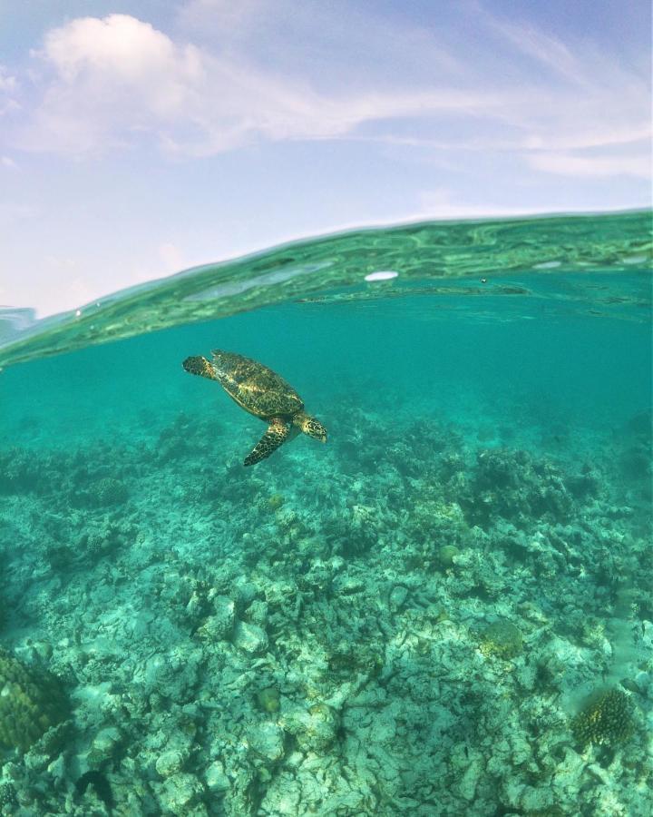 One The Island Hotel นาอิฟารุ ภายนอก รูปภาพ
