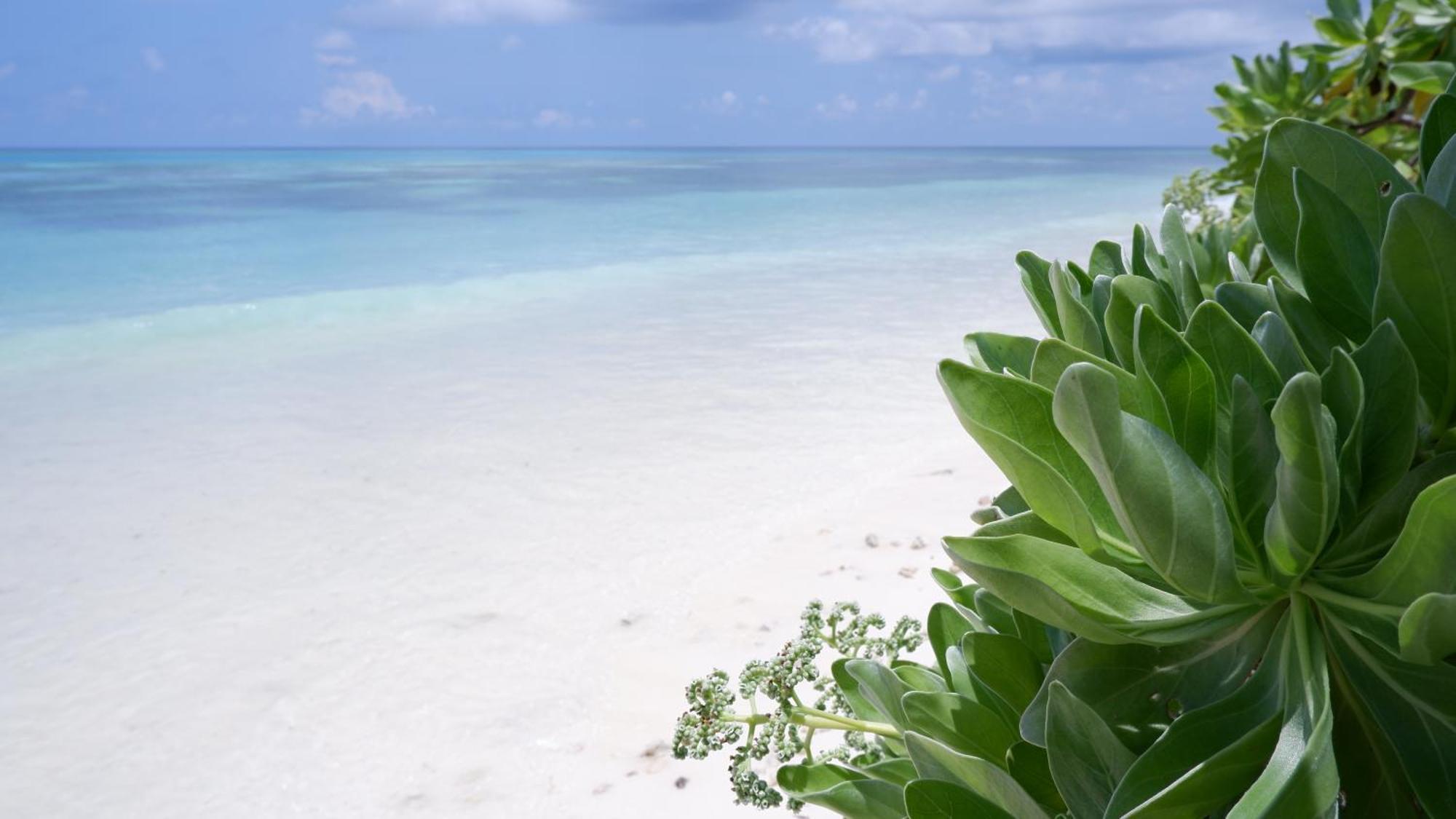 One The Island Hotel นาอิฟารุ ภายนอก รูปภาพ